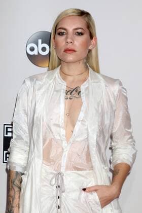 LOS ANGELES - NOV 20: Skylar Grey at the 2016 American Music Awards at Microsoft Theater on November 20, 2016 in Los Angeles, CA  Copyright: xKathyxHutchinsx xIPAx