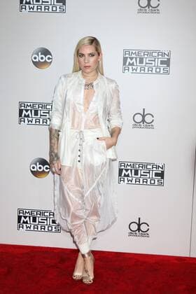 LOS ANGELES - NOV 20: Skylar Grey at the 2016 American Music Awards at Microsoft Theater on November 20, 2016 in Los Angeles, CA  Copyright: xKathyxHutchinsx xIPAx