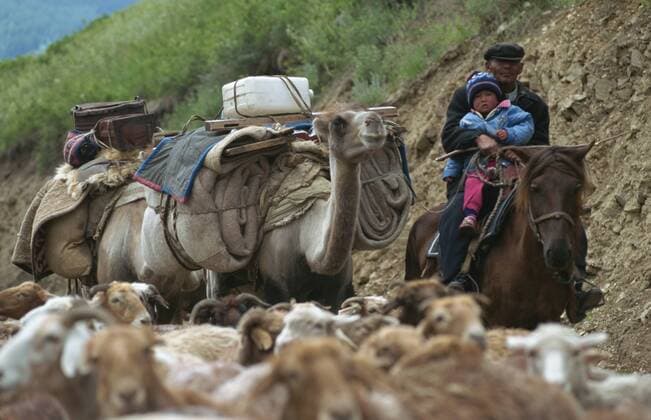 Summer migration of Kazaks, Altay Mountains, northeast Xinjiang, China, Asia Copyright: GinaxCorrigan 188-6307
