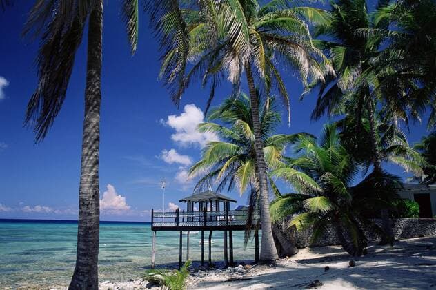 Waterside restaurant beneath palms, Old Man Bay, Grand Cayman, Cayman Islands, West Indies, Caribbean, Central America Copyright: RuthxTomlinson 390-2188