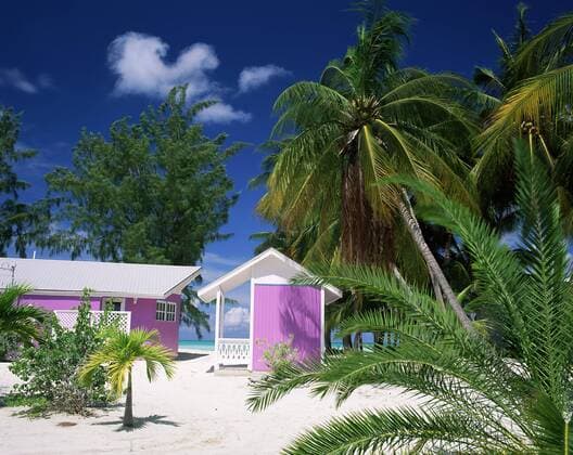 Colourful beach hut beneath palm trees, Rum Point, Grand Cayman, Cayman Islands, West Indies, Caribbean, Central America Copyright: RuthxTomlinson 390-2224