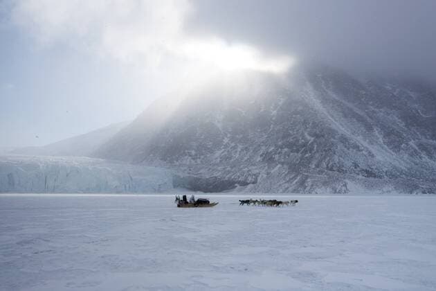 Inuit hunter and his dog team travelling on the sea ice, Greenland, Denmark, Polar Regions Copyright: LouisexMurray 465-3399