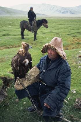 Portrait of an eagle breeder in traditional clothing, with his bird, Kazakh, Bayan-olgii, Khovd Gol valley, Mongolia, Central Asia, Asia Copyright: BrunoxMorandi 712-805