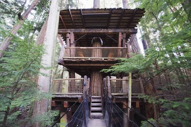 IMAGO Creative, Leben im Bamhaus A tree house in Capilano Suspension Bridge and Park, Vancouver, British Columbia, Canada, North America Copyright: ChristianxKober 733-3359