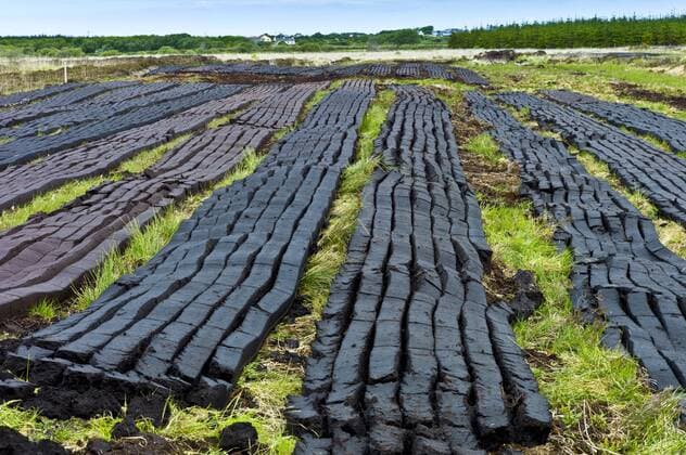 IMAGO Nature: Unsere Erde, Ressourcen, Torf Turf cut by machine laid out to dry at Mountrivers peat bog, County Clare, West of Ireland Copyright: TimxGraham 1161-6603
