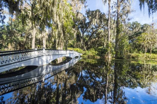 Bridge refelcting in a pond in the Magnolia Plantation outside Charleston, South Carolina, United States of America, North America Copyright: MichaelxRunkel 1184-375