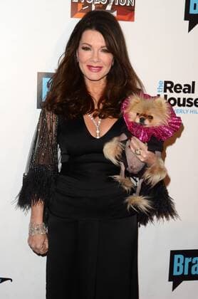 LOS ANGELES - DEC 2: Lisa Vanderpump at the The Real Housewives of Beverly Hills Season 7 Premiere Party at Sofitel Hotel on December 2, 2016 in Beverly Hills, CA  Copyright: xHPAx xIPAx