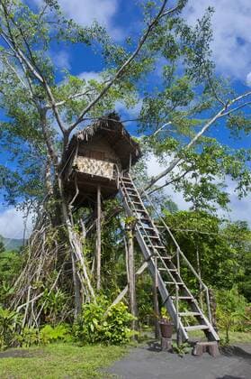 IMAGO Creative, Leben im Bamhaus Tree house in a Banyan tree below the Volcano Yasur, Island of Tanna, Vanuatu, South Pacific, Pacific Copyright: MichaelxRunkel 816-3430