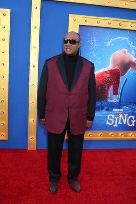 LOS ANGELES - DEC 3: Stevie Wonder at the Sing Premiere at Microsoft Theater on December 3, 2016 in Los Angeles, CA  Copyright: xKathyxHutchinsx xIPAx