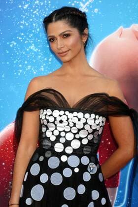LOS ANGELES - DEC 3: Camila Alves McConaughey at the Sing Premiere at Microsoft Theater on December 3, 2016 in Los Angeles, CA  Copyright: xKathyxHutchinsx xIPAx