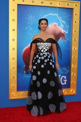 LOS ANGELES - DEC 3: Camila Alves McConaughey at the Sing Premiere at Microsoft Theater on December 3, 2016 in Los Angeles, CA  Copyright: xKathyxHutchinsx xIPAx