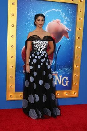 LOS ANGELES - DEC 3: Camila Alves McConaughey at the Sing Premiere at Microsoft Theater on December 3, 2016 in Los Angeles, CA  Copyright: xKathyxHutchinsx xIPAx