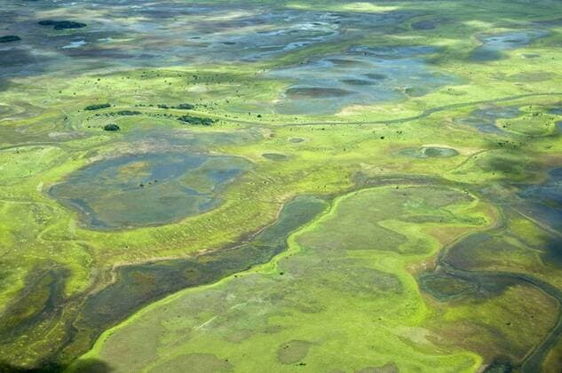 Aerial view of flooded areas of the Rupununi, Guyana, South America Copyright: MickxBainesx&xMarenxReichelt 971-95