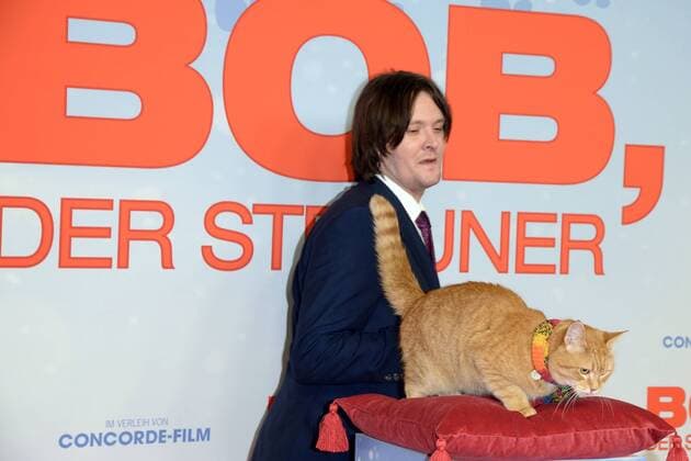 BOB, der Streuner BOB der Streuner, James Bowen Ankunft PREMIERE BOB, der Streuner nach einer wahren Geschichte, im Kino in der Kulturbrauerei in Berlin am 06.12.2016 APP