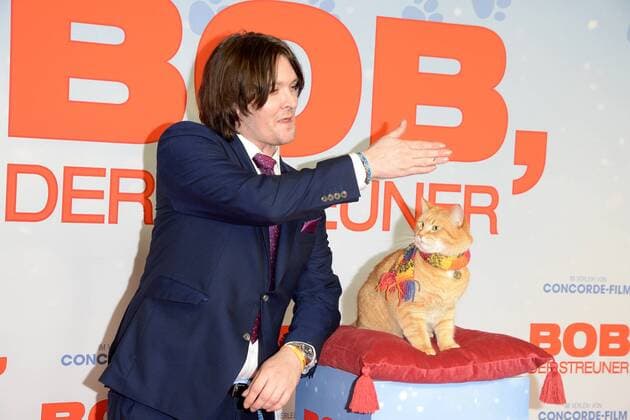 BOB, der Streuner BOB der Streuner, James Bowen Ankunft PREMIERE BOB, der Streuner nach einer wahren Geschichte, im Kino in der Kulturbrauerei in Berlin am 06.12.2016 APP