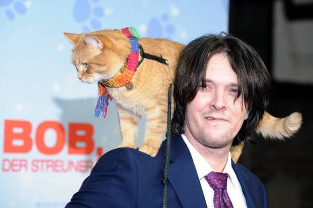 Bilder des Tages BOB, der Streuner BOB der Streuner, James Bowen Ankunft PREMIERE BOB, der Streuner nach einer wahren Geschichte, im Kino in der Kulturbrauerei in Berlin am 06.12.2016 APP