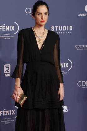 Latin American Film Awards Fenix - Verleihung in Mexiko-Stadt December 7, 2016 - Mexico - EUM20161207ESP20.JPG.CIUDAD DE MEXICO.- Prize Premios Fenix.- Carolina Herrera en la Alfombra Roja para la entrega de los Premios Fenix, la noche del miercoles 7 de diciembre de 2016.  - ZUMAu78_ 20161207_zaf_u78_082