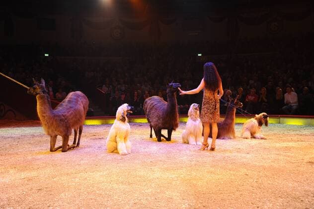 Show 1. Winterpremiere von Zirkus Krone Manege Krone-Haupthaus München 25. Dezember 2016