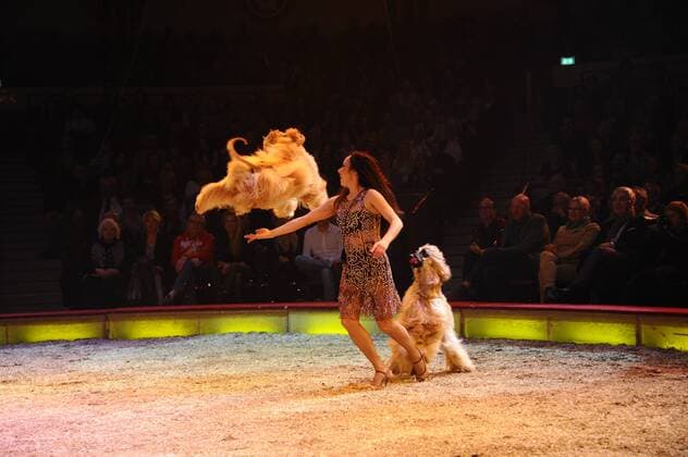 Show 1. Winterpremiere von Zirkus Krone Manege Krone-Haupthaus München 25. Dezember 2016