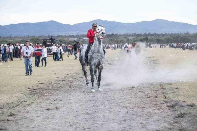 Mexiko: 15. Geburtstag von Rubi Ibarra Garcia wird zur Massenveranstaltung December 26, 2016 - Mexico - EUM20161226ACT38.JPG.VILLA DE GUADALUPE, SLP., FestFiesta-Rubi.- Aspectos de la carrera de caballos conocida como La Chiva con motivo de los XV anos de la joven Rubi, el lunes 26 de diciembre de 2016 en la comunidad de La Joya. El festejo cobro fama tras un video-invitacion que se hizo viral en redes sociales.  - ZUMAu78_ 20161226_zaf_u78_062