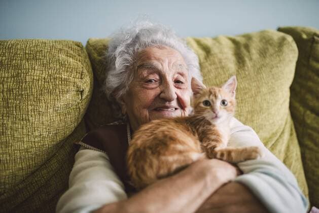 Portrait of happy senior woman cuddling with her cat on the couch model released Symbolfoto property released  RAEF01594