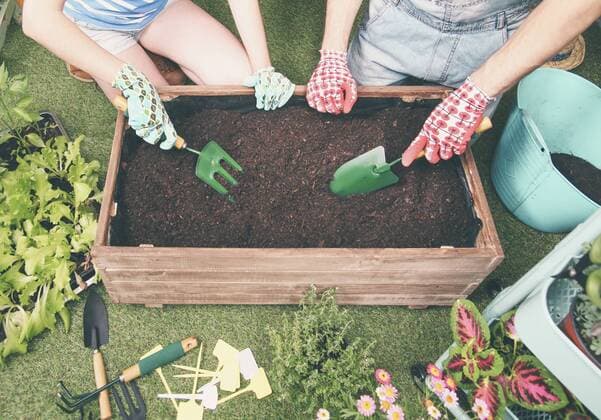 Couple preparing soil to plant vegetables in the container of their urban garden model released Symbolfoto property released  RTBF00575