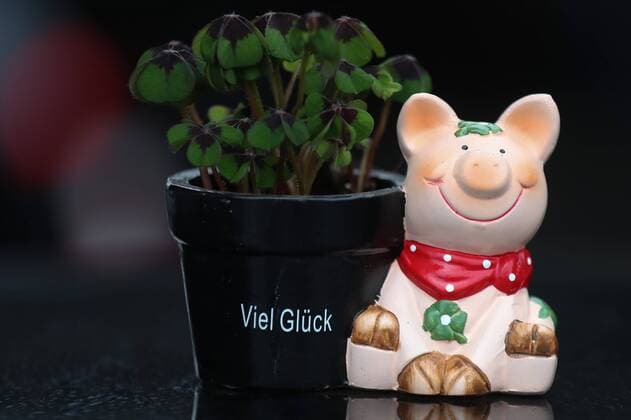 silvester glücksbringer, Schornsteinfeger, Glücksschwein, Kleeblatt,
