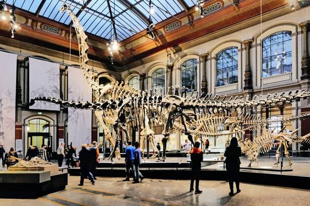 Berlin Mitte, Naturkundemuseum an der Invalidenstraße, Saal mit Dinosaurier Naturkundemuseum