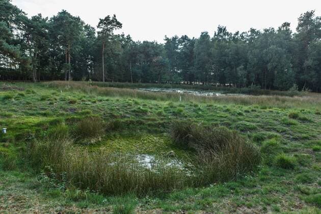 DEU, Deutschland, Nordrhein-Westfalen, Recke, 23.09.2016: Naturschutzgebiet Heiliges Meer Heupen. Das Große Heilige Meer (namensgebend für das Naturschutzgebiet) ist der größte natürliche Binnensee Nordrhein-Westfalens im Tecklenburger Land. Er ist vor mehreren hundert Jahren durch einen Erdfall entstanden, eine tragische Sage erklärt das Entstehen mit einem unzüchtigen Kloster an dieser Stelle. Das LWL-Museum für Naturkunde unterhält im Naturschutzgebiet eine Außenstelle.