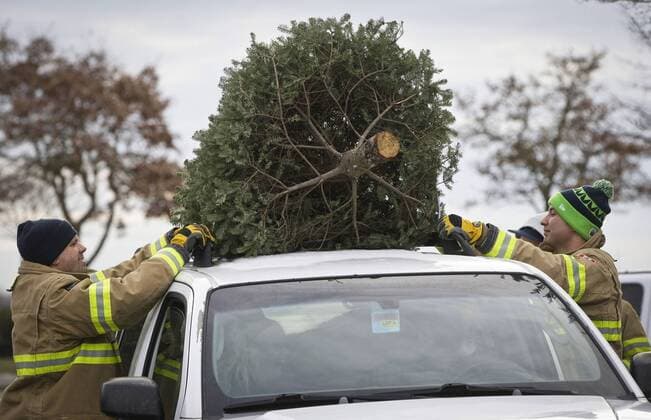 (170108) -- RICHMOND, Jan. 8, 2017 -- Firefighters bring down a tree from the top of a car during the annual Christmas tree recycling in Richmond, Canada, Jan. 7, 2017. Firefighters volunteered their time to help residents recycle the Christmas trees at the annual Richmond Firefighters Association tree-chipping event to help reduce waste and turn rubbish into new resources.) (zxj) CANADA-RICHMOND-CHRISTMAS TREES-RECYCLING LiangxSen 