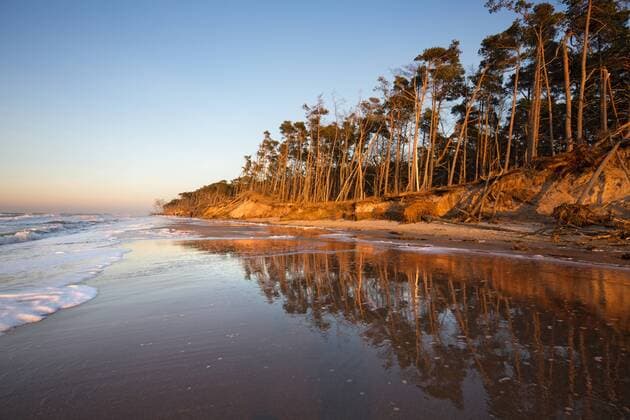 Europa; Deutschland; Mecklenburg Vorpommern; Darß; Zingst; Prerow; Ahrenshoop; Ostsee; Ostseeküste: Spaziergänger am Weststrand auf der Halbinsel Darß-Zingst nach einem Sturm und Hochwasser