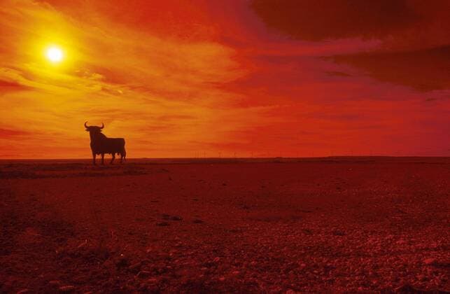 Dec 05, 2006; La Muela, Zaragoza, SPAIN; A red sunset behind a black Osbournes Bull Advertising Signs, Spanish national Monument, only a few left on road sides in Spain. The black bulls are wooden road signs in Zaragoza. Mandatory - ZUMAc94_ 20061205_kri_c94_125