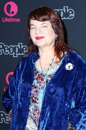 LOS ANGELES - DEC 13: Allison Anders at the Beaches Los Angeles Premiere at Regal LA Live on December 13, 2017 in Los Angeles, CA  Copyright: xHPAx xIPAx
