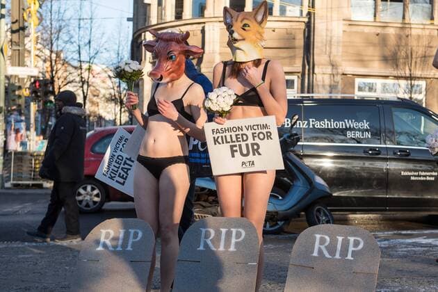 Berlin Tierschuetzerprotest zur Fashion Week Traueraktion der Tierrechtsorganisation PETA zum Start der Mercedes Benz-Fashion Week. Drei Aktivistinnen der Tierrechtsorganisation PETA legten fast unbekleidet bei -4°C sich mit Tiermasken von Fuchs, Kuh, Schaf am kommenden Dienstag den 17. Januar 2017 vor dem Eroeffnungsort der Berliner Modewoche vor symbolische Grabsteine. Unter dem Motto: Modeopfer: Getoetet fuer Pelz, Leder, Wolle appellierten sie an die Modeeinkaeufer und Verbraucher, sich ueber das Tierleid zu informieren, das hinter Leder- und Wolljacken oder Kaninchenpelzwesten steckt. 1z.1.2017, Berlin