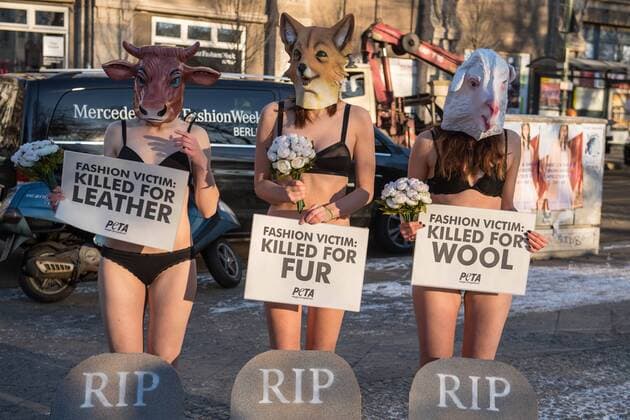 Berlin Tierschuetzerprotest zur Fashion Week Traueraktion der Tierrechtsorganisation PETA zum Start der Mercedes Benz-Fashion Week. Drei Aktivistinnen der Tierrechtsorganisation PETA legten fast unbekleidet bei -4°C sich mit Tiermasken von Fuchs, Kuh, Schaf am kommenden Dienstag den 17. Januar 2017 vor dem Eroeffnungsort der Berliner Modewoche vor symbolische Grabsteine. Unter dem Motto: Modeopfer: Getoetet fuer Pelz, Leder, Wolle appellierten sie an die Modeeinkaeufer und Verbraucher, sich ueber das Tierleid zu informieren, das hinter Leder- und Wolljacken oder Kaninchenpelzwesten steckt. 1z.1.2017, Berlin