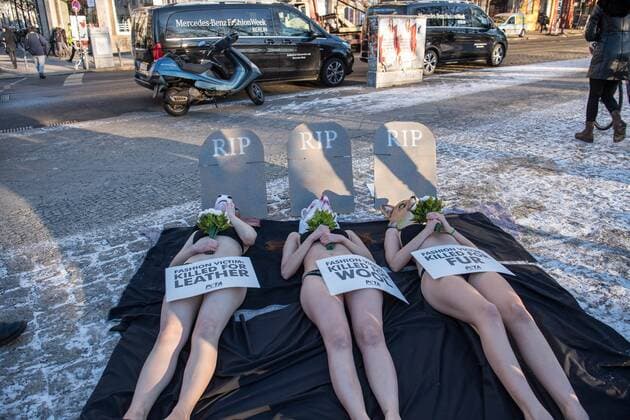 Berlin Tierschuetzerprotest zur Fashion Week Traueraktion der Tierrechtsorganisation PETA zum Start der Mercedes Benz-Fashion Week. Drei Aktivistinnen der Tierrechtsorganisation PETA legten fast unbekleidet bei -4°C sich mit Tiermasken von Fuchs, Kuh, Schaf am kommenden Dienstag den 17. Januar 2017 vor dem Eroeffnungsort der Berliner Modewoche vor symbolische Grabsteine. Unter dem Motto: Modeopfer: Getoetet fuer Pelz, Leder, Wolle appellierten sie an die Modeeinkaeufer und Verbraucher, sich ueber das Tierleid zu informieren, das hinter Leder- und Wolljacken oder Kaninchenpelzwesten steckt. 1z.1.2017, Berlin