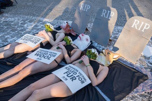 Berlin Tierschuetzerprotest zur Fashion Week Traueraktion der Tierrechtsorganisation PETA zum Start der Mercedes Benz-Fashion Week. Drei Aktivistinnen der Tierrechtsorganisation PETA legten fast unbekleidet bei -4°C sich mit Tiermasken von Fuchs, Kuh, Schaf am kommenden Dienstag den 17. Januar 2017 vor dem Eroeffnungsort der Berliner Modewoche vor symbolische Grabsteine. Unter dem Motto: Modeopfer: Getoetet fuer Pelz, Leder, Wolle appellierten sie an die Modeeinkaeufer und Verbraucher, sich ueber das Tierleid zu informieren, das hinter Leder- und Wolljacken oder Kaninchenpelzwesten steckt. 1z.1.2017, Berlin