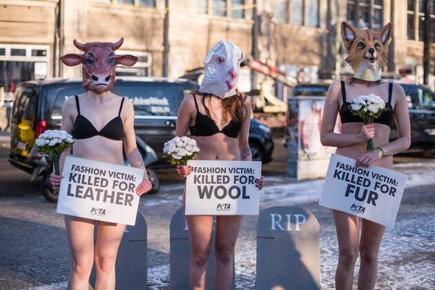 Berlin Tierschuetzerprotest zur Fashion Week Traueraktion der Tierrechtsorganisation PETA zum Start der Mercedes Benz-Fashion Week. Drei Aktivistinnen der Tierrechtsorganisation PETA legten fast unbekleidet bei -4°C sich mit Tiermasken von Fuchs, Kuh, Schaf am kommenden Dienstag den 17. Januar 2017 vor dem Eroeffnungsort der Berliner Modewoche vor symbolische Grabsteine. Unter dem Motto: Modeopfer: Getoetet fuer Pelz, Leder, Wolle appellierten sie an die Modeeinkaeufer und Verbraucher, sich ueber das Tierleid zu informieren, das hinter Leder- und Wolljacken oder Kaninchenpelzwesten steckt. 1z.1.2017, Berlin
