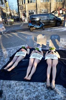 Mit Tiermasken von Fuchs, Kuh und Schaf vor symbolischen Grabsteinen, protestierten Unterstuetzer der Tierrechtsorganisation PETA am Dienstag (17.01.2017) am Schauplatz des ersten Runways der Fashion Week in Berlin. Unter dem Motto: Modeopfer: Getoetet fuer Pelz, Leder, Wolle appellieren die Tierschuetzer an die Modeeinkaeufer und Verbraucher, sich ueber das Tierleid zu informieren, das hinter Lederjacken, Wollcardigans oder Kaninchenpelzwesten steckt. PETA setzt sich fuer die Verwendung rein pflanzlicher oder synthetischer Materialien in der Bekleidungsbranche ein. PETA-Tierleichen trauern zum Start der Fashion Week um verlorene Leben Copyright: epd-bild RolfxZoellner EDITORIAL USE ONLY