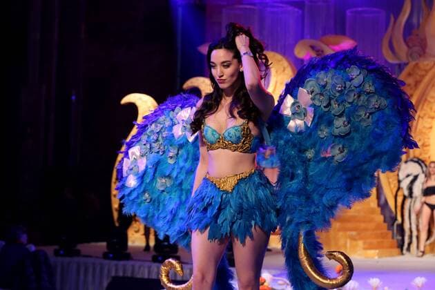 Shenyang, China - Shenyang, CHINA-January 14 2017: (EDITORIAL USE ONLY. CHINA OUT) ..A model walks on the runway during a fake Victoria s Secret fashion show in Shenyang, northeast China s Liaoning Province. A plastic surgery hospital held the Victoria s Secret Fashion Show , hiring models to wear wings and lingerie during the show, which attracted many people. Shenyang China  - ZUMAs145 20170118_zaa_s145_011