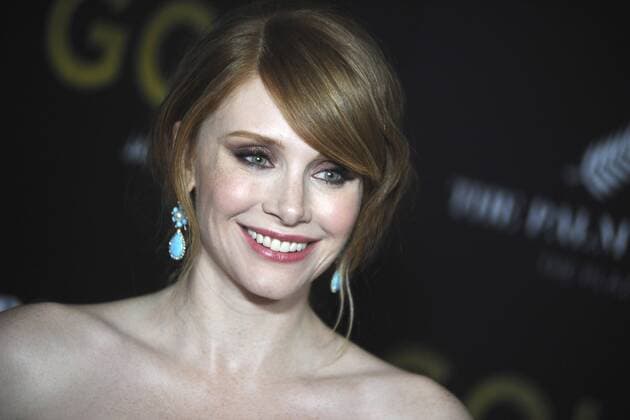 Bryce Dallas Howard bei der Weltpremiere des Kinofilms Gold im AMC Loews Lincoln Square 13 Theater. New York, 17.01.2017 Foto:xD.xVanxTinex xFuturexImage
