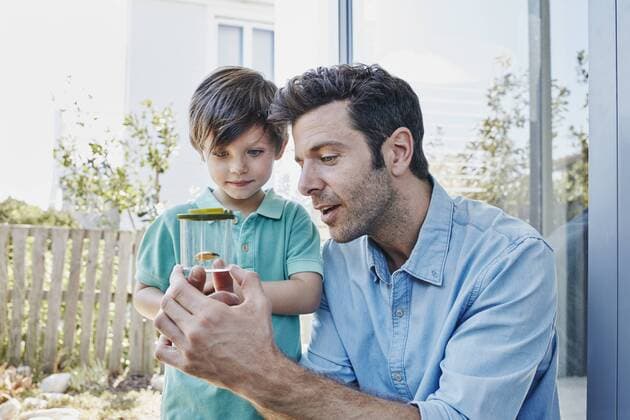 Father and son catching together a cricket model released Symbolfoto property released  RORF00465