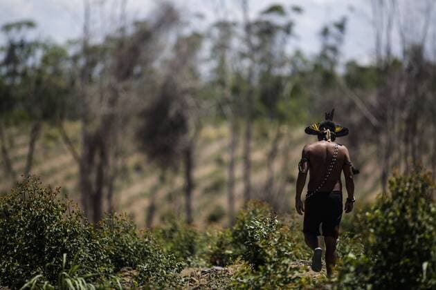 IMAGO Nature: Unsere Erde, Umweltprobleme, Regenwald January 26, 2017 - Aracruz, Brazil - The Cacique Nelson, of the tribe of Guaranis, walks in a deforested area of the old Atlantic Forest. January 26, 2017. Guarani Indians of Trs Palmeiras Indigenous Village are trying to reforest the Atlantic Forest area devastated long ago by a pulp mill in the rural area of Aracruz, Espirito Santo, southeastern Brazil. Aracruz Brazil  - ZUMAn230 20170126_zaa_n230_099 Copyright: xDiegoxHerculanox