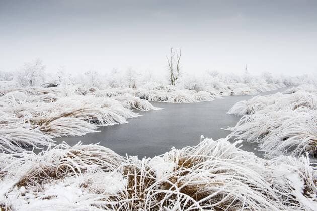 Hochmoor-Landschaft im Winter mit Rauhreif, Emsland, Niedersachsen, Deutschland, Europa Copyright: imageBROKER/ErhardxNerger ibxenh04472352.jpg