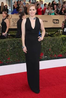 January 29, 2017 - Los Angeles, CA, United States - 29 January 2017 - Los Angeles, California - Amy Adams. 23rd Annual Screen Actors Guild Awards held at The Shrine Expo Hall. Photo Credit: AdMedia Los Angeles United States - ZUMAa123 20170129_zaa_a123_208 Copyright: xF.xSadoux