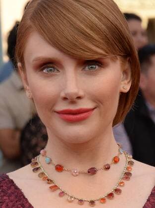 Actress Bryce Dallas Howard arrives for the the 23rd annual SAG Awards held at the Shrine Auditorium in Los Angeles on January 29, 2017. The Screen Actors Guild Awards will be broadcast live on TNT and TBS.  LAP20170129425 JIMxRUYMEN