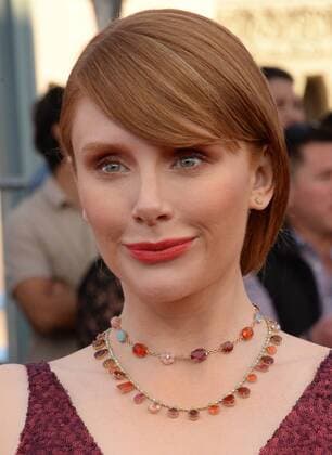 Actress Bryce Dallas Howard arrives for the the 23rd annual SAG Awards held at the Shrine Auditorium in Los Angeles on January 29, 2017. The Screen Actors Guild Awards will be broadcast live on TNT and TBS.  LAP20170129426 JIMxRUYMEN