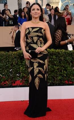 Actress Julia Louis-Dreyfus arrives for the the 23rd annual SAG Awards held at the Shrine Auditorium in Los Angeles on January 29, 2017. The Screen Actors Guild Awards will be broadcast live on TNT and TBS.  LAP20170129403 JIMxRUYMEN