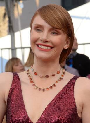 Actress Bryce Dallas Howard arrives for the the 23rd annual SAG Awards held at the Shrine Auditorium in Los Angeles on January 29, 2017. The Screen Actors Guild Awards will be broadcast live on TNT and TBS.  LAP20170129424 JIMxRUYMEN