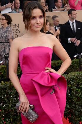 Actress Sophia Bush arrives for the the 23rd annual SAG Awards held at the Shrine Auditorium in Los Angeles on January 29, 2017. The Screen Actors Guild Awards will be broadcast live on TNT and TBS.  LAP20170129469 JIMxRUYMEN